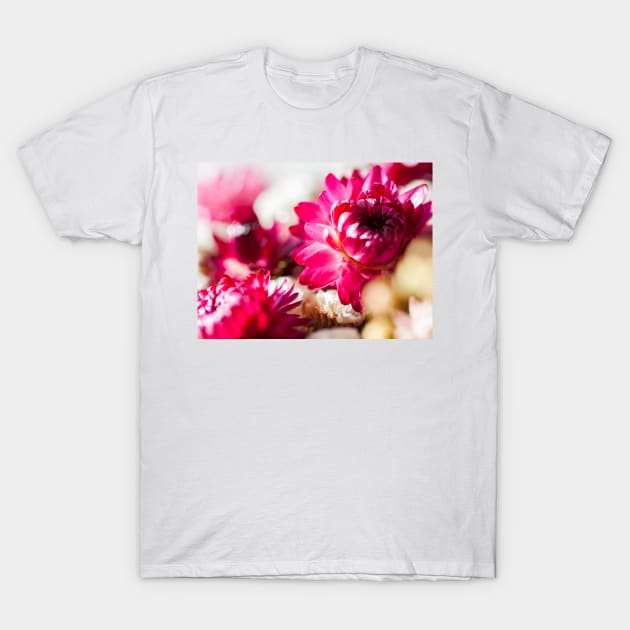 Dry Flower T-Shirt by ansaharju